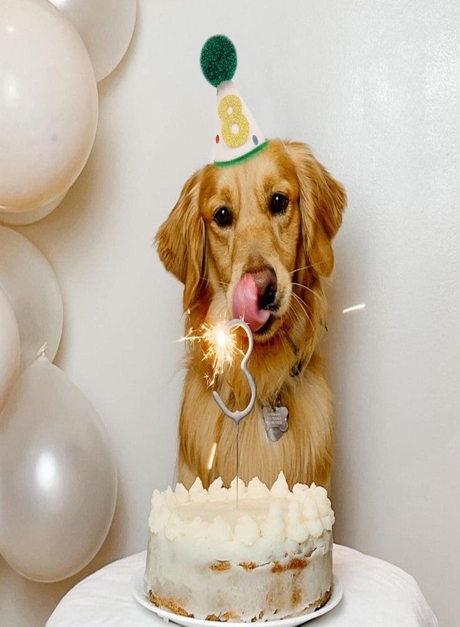 LINGANA Pet Birthday Hat with Interchangeable Numbers 1-10 | Adjustable Pet Party Cone Hat for Dogs & Cats | Puppy Birthday Photo Props for 1st to 10th Birthday Celebrations (Beige Birtgday Pet Hat) - Image 4